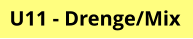 U11 - Drenge/Mix